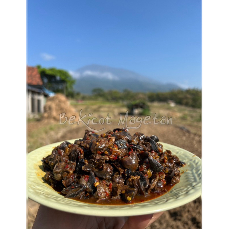 Jual Rica Goreng Bekicot Magetan Best Seller 300 Gram | Shopee Indonesia