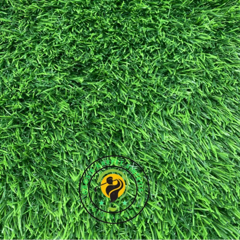 Jual Rumput swiss tebal 3cm ukuran 200×1,5 cm | Shopee Indonesia