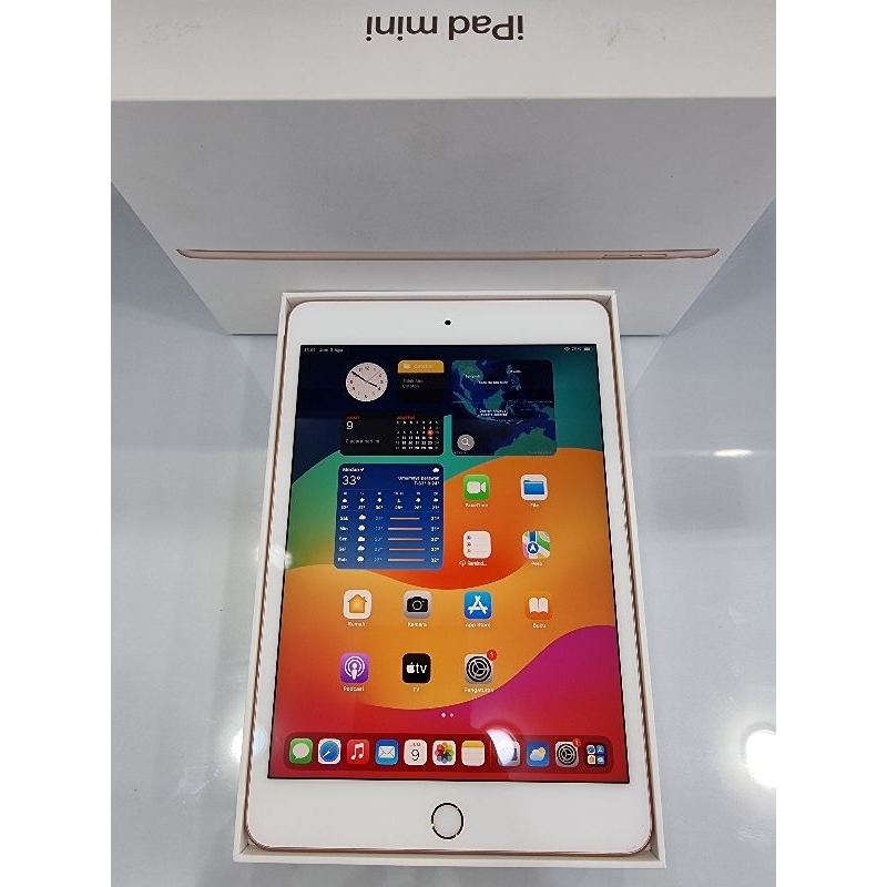 Jual Apple Ipad Mini 5th Generation 64Gb Wifi only Gold Shopee Indonesia