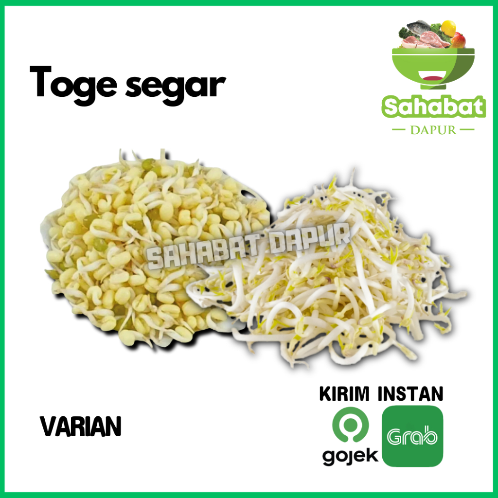 Jual Toge / Kecambah / Toge Kecil / Toge Rawon / Toge Baby 250gr ...
