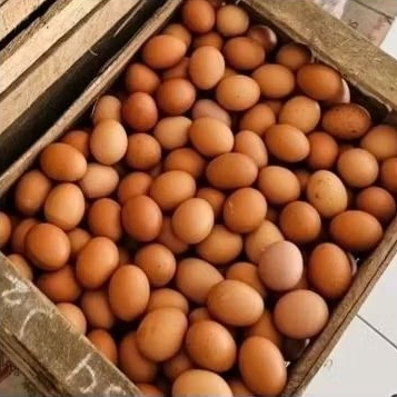 Jual Telur Ayam Ras 1kg | Shopee Indonesia