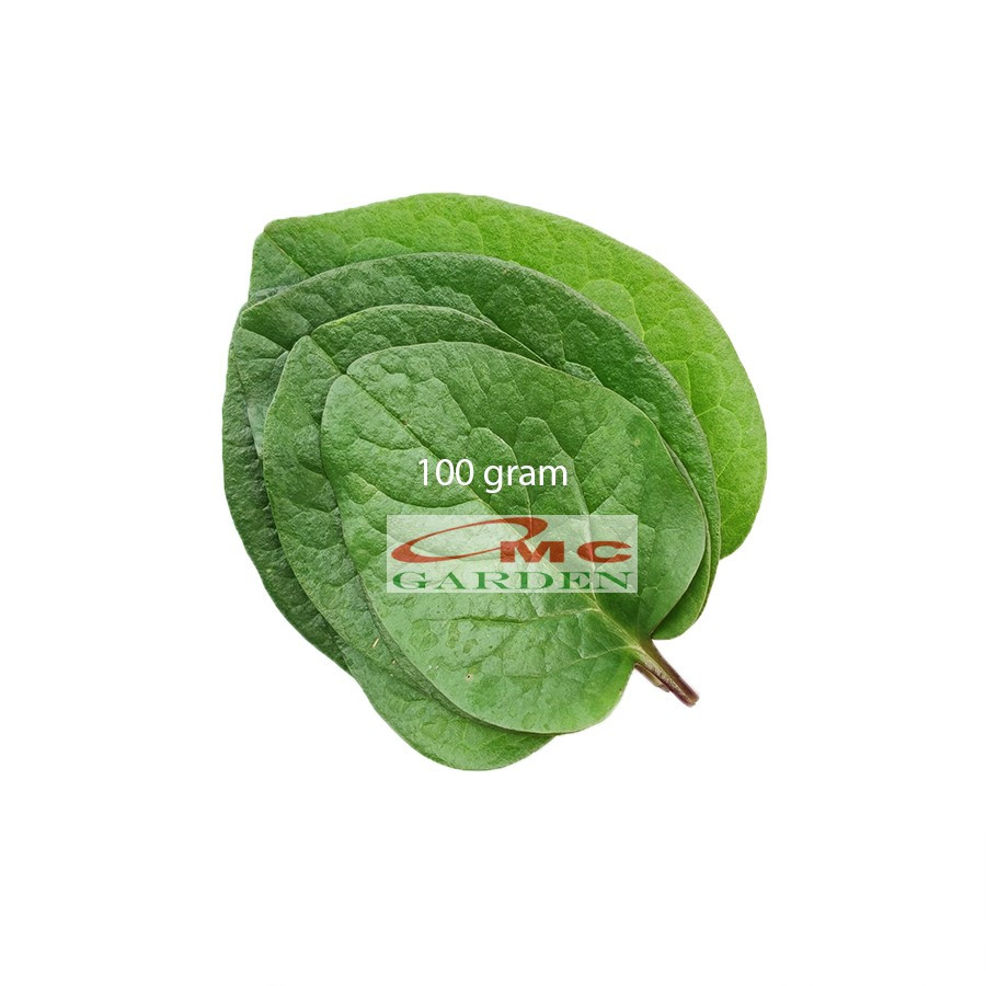Jual Daun Binahong Merah Hijau Tanaman Piahong Obat Herbal Organik ...
