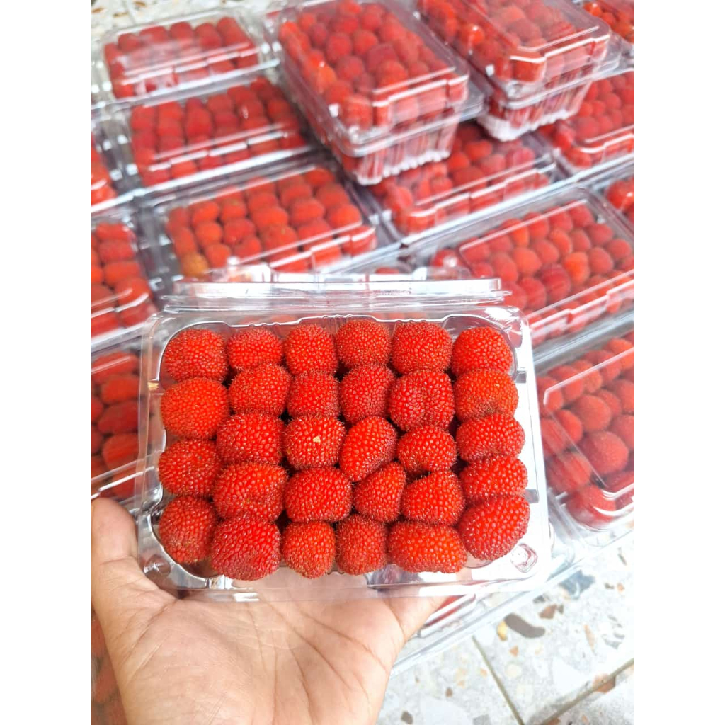 Jual Buah Raspberry I Mulbery per pack ± 200 gram | Shopee Indonesia