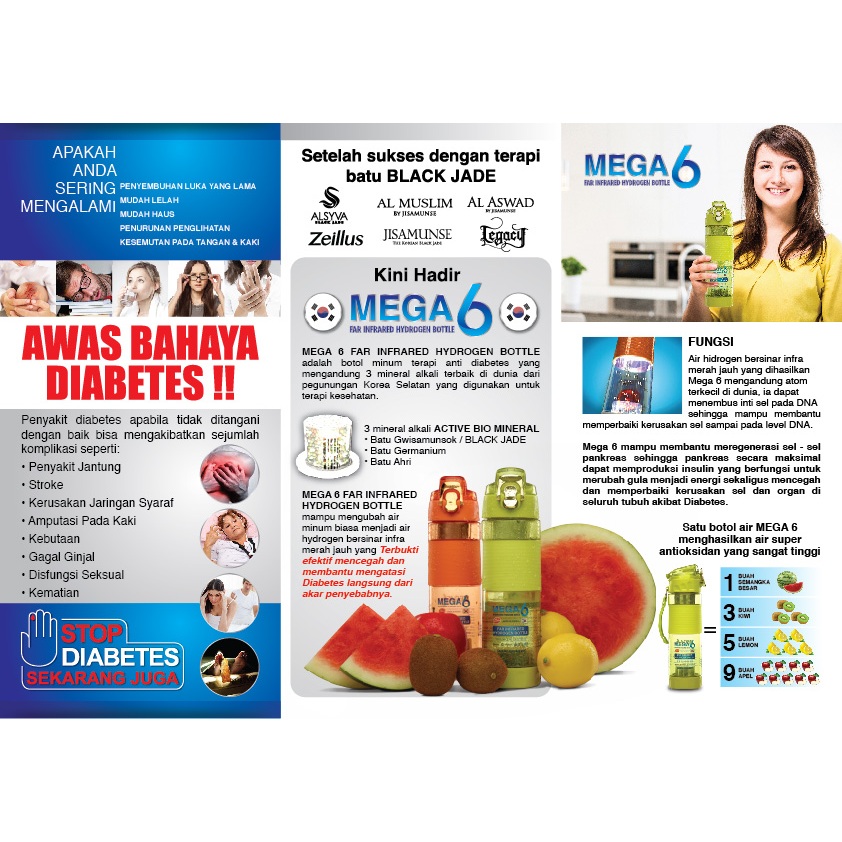 Jual Botol Mega 6 terapi Kesehatan Diabetes dijamin RESMI dan ORIGINAL ...