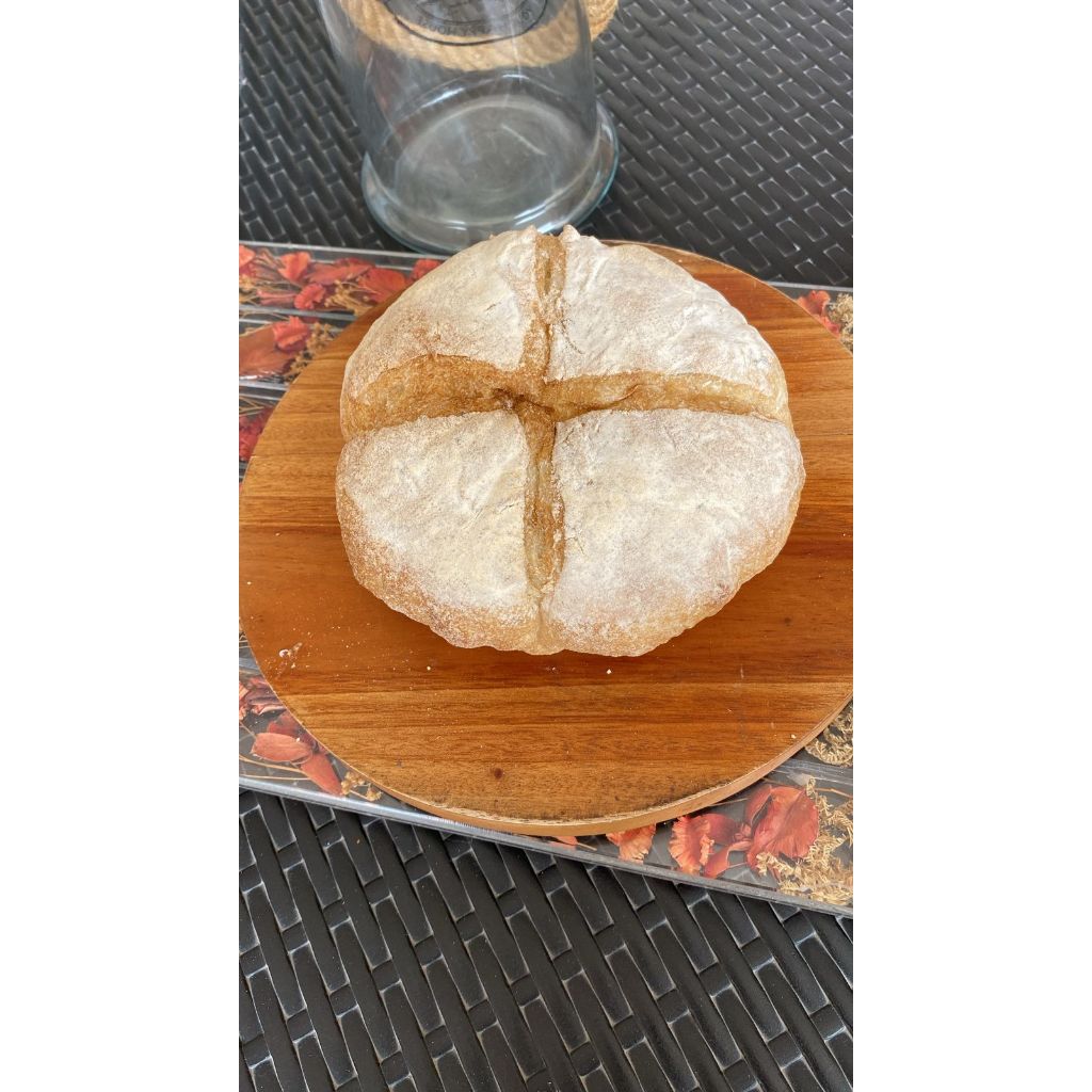 Jual Roti Sourdough Golden Crust Sourdough Bread Round | Shopee Indonesia
