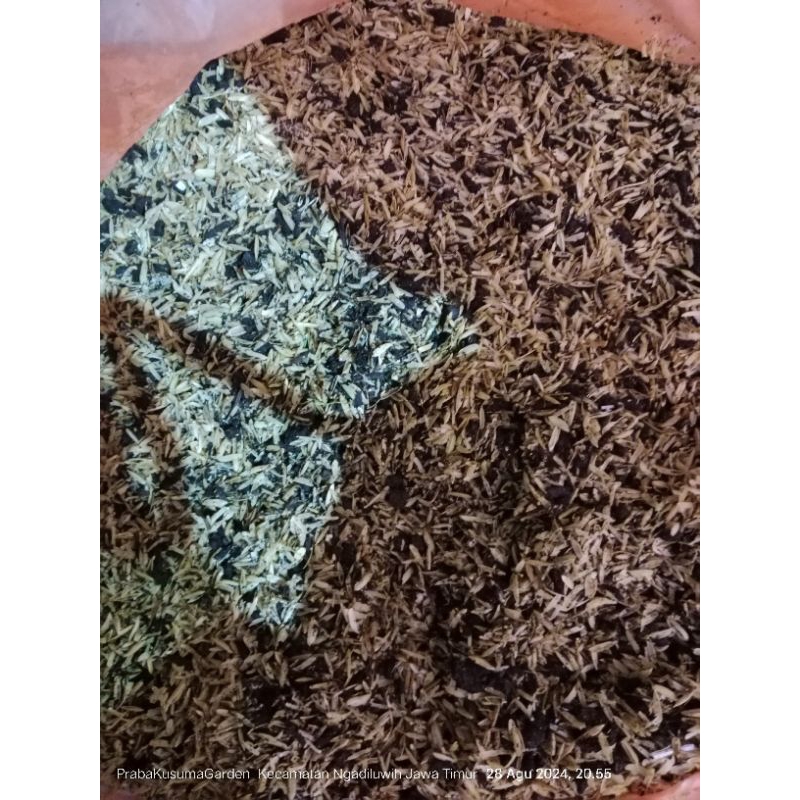 Jual media puring | Shopee Indonesia