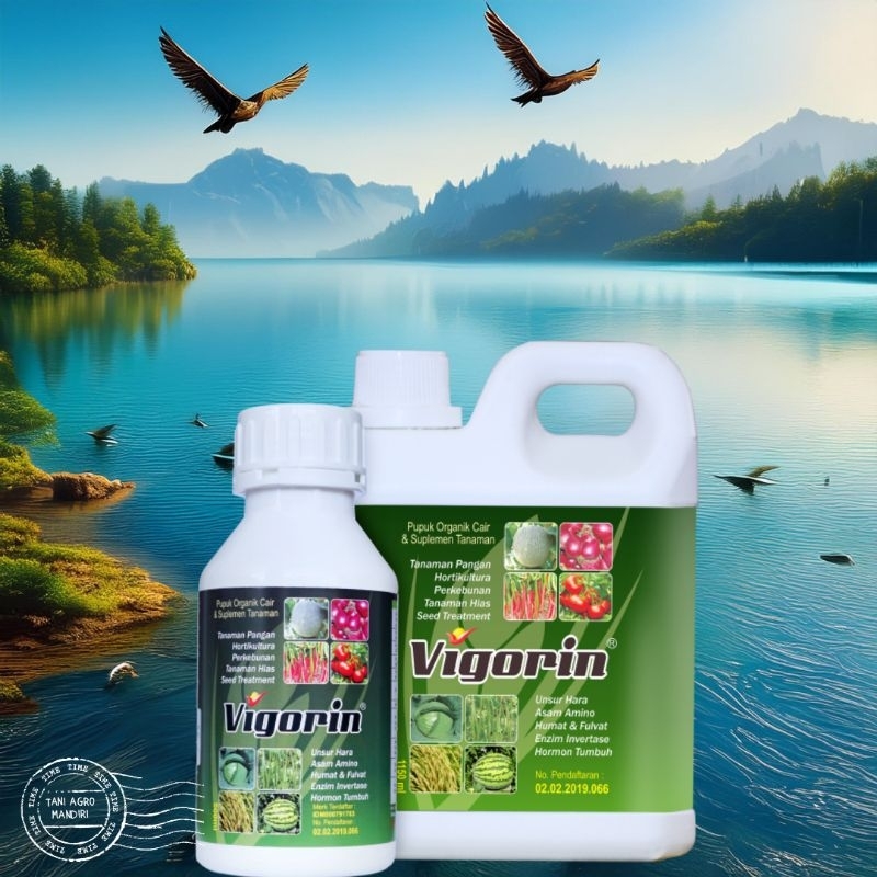 Jual PUPUK DAN SUPLEMEN TANAMAN VIGORIN 1150ML | Shopee Indonesia