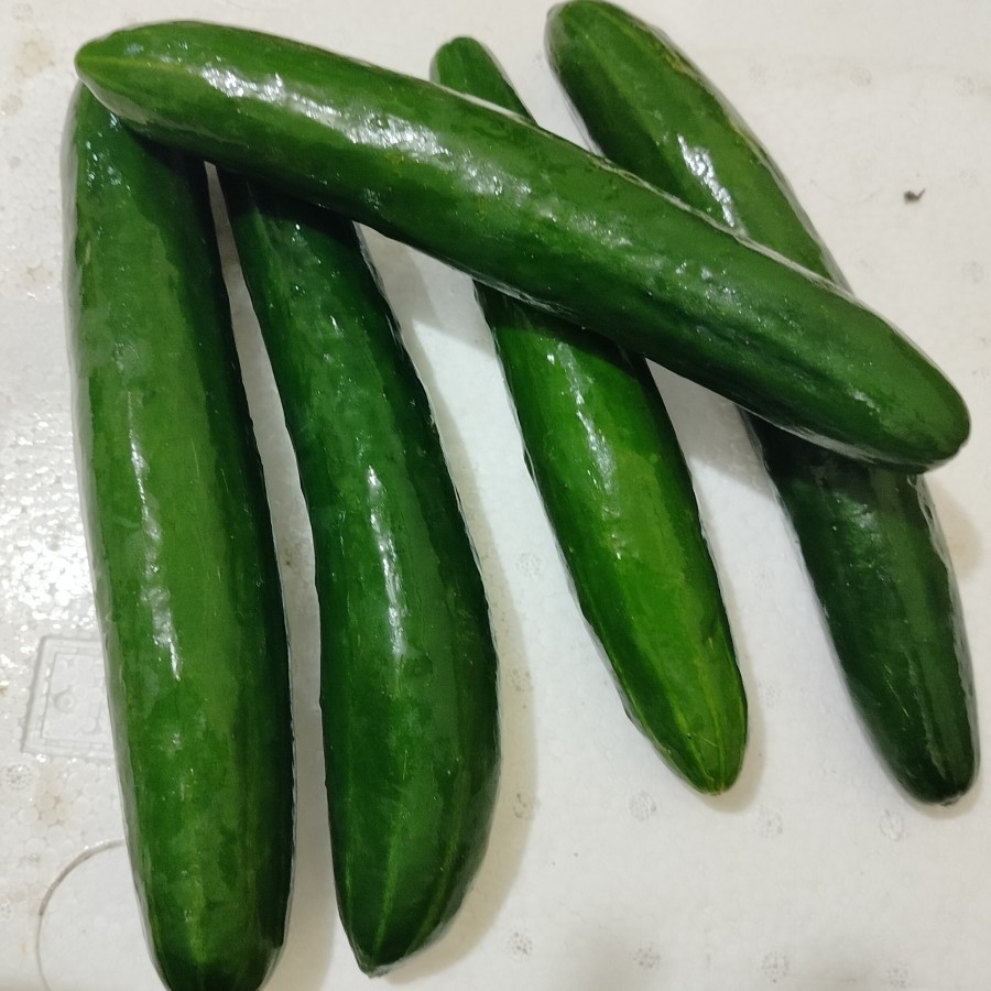 Jual TIMUN JEPANG KYURI FRESH INSTAN BANDUNG | Shopee Indonesia