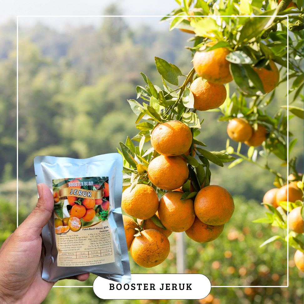 Jual Booster Jeruk / Pupuk Booster Hayati Khusus Tanaman Jeruk | Shopee ...