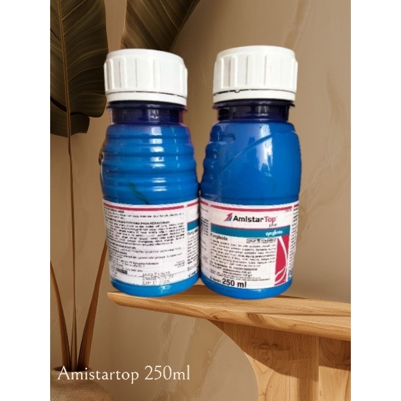Jual Amistar top 250 ml fungisida | Shopee Indonesia