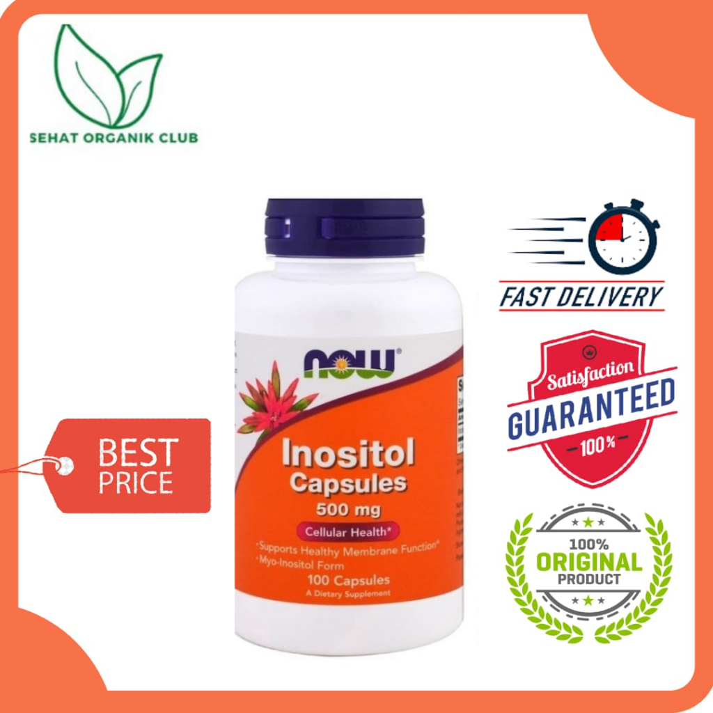 Jual Now Foods Food Choline & Inositol 500 mg 100 Capsules ; Now ...