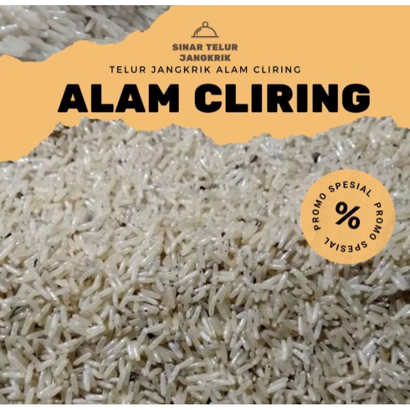 Jual TELUR JANGKRIK ALAM/CLIRING BERAT 1KG GARANSI | Shopee Indonesia
