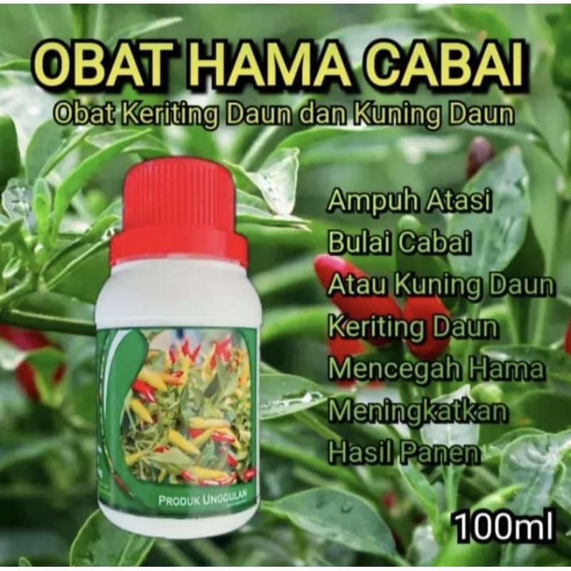 Jual Obat Semprot Daun Cabe Keriting Bule Dan Kuning Bulai Cabai Rawit