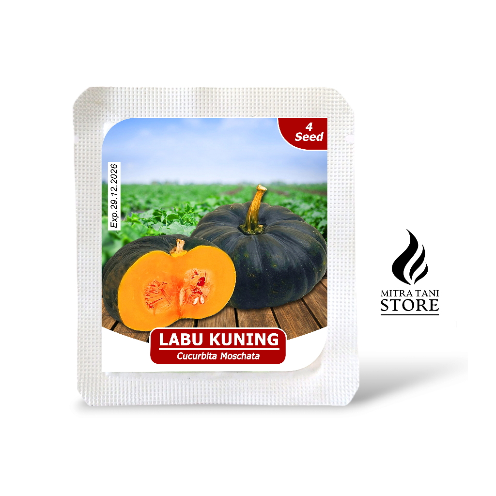 Jual Benih Labu Kuning Waluh Home Garden Seed 4 Butir | Shopee Indonesia