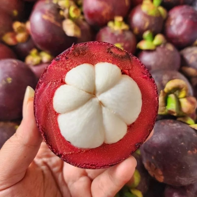 Jual Buah Manggis Manis 1kg Murah Shopee Indonesia