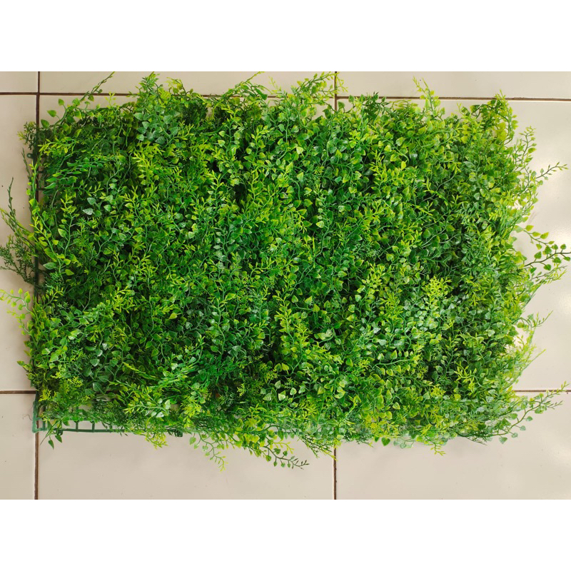 Jual GROSIR DAUN RAMBAT PAKIS RAPAT DAN PADAT UKURAN 40X60 CM UNTUK ...