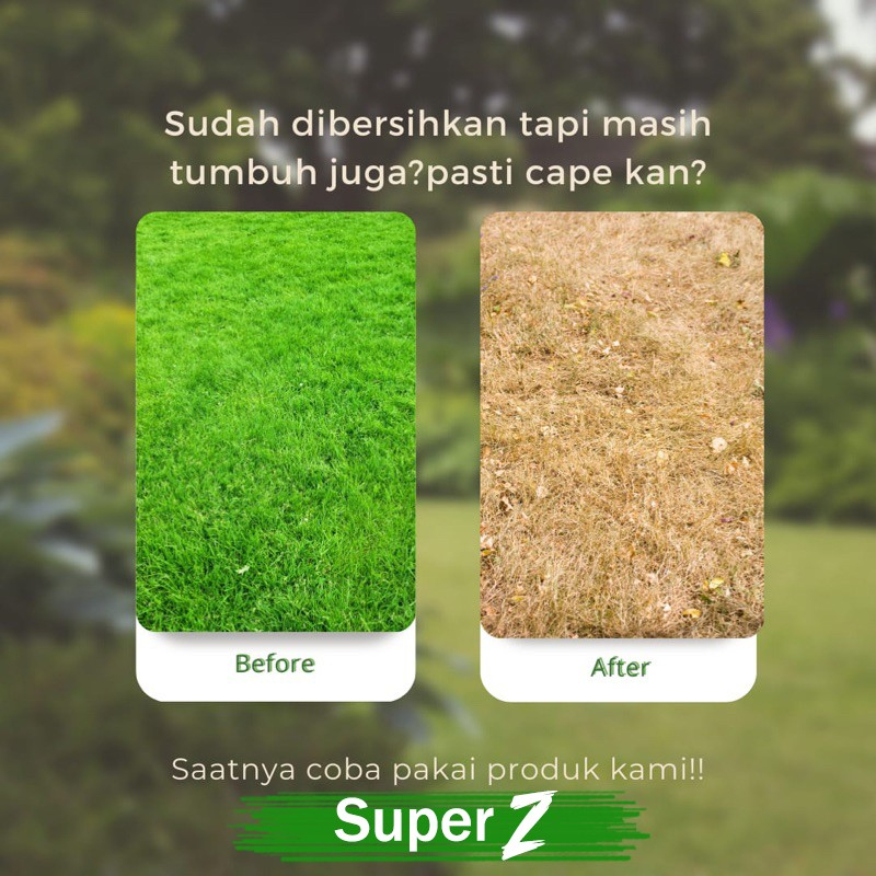 Jual Obat Pembasmi Rumput Liar Racun Rumput Semprot Super Ampuh Mati ...