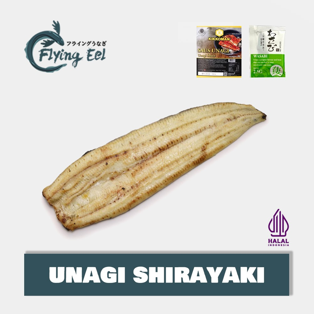 Jual Unagi Shirayaki Kabayaki Flying Eel Frozen Utuh | Shopee Indonesia