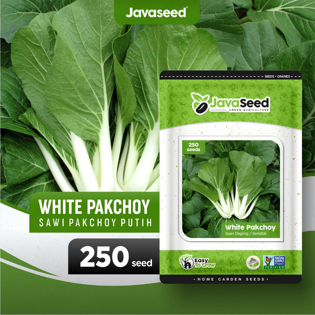 Jual Javaseed Benih Sawi Daging Pakchoy Putih White Pakchoy F1 250