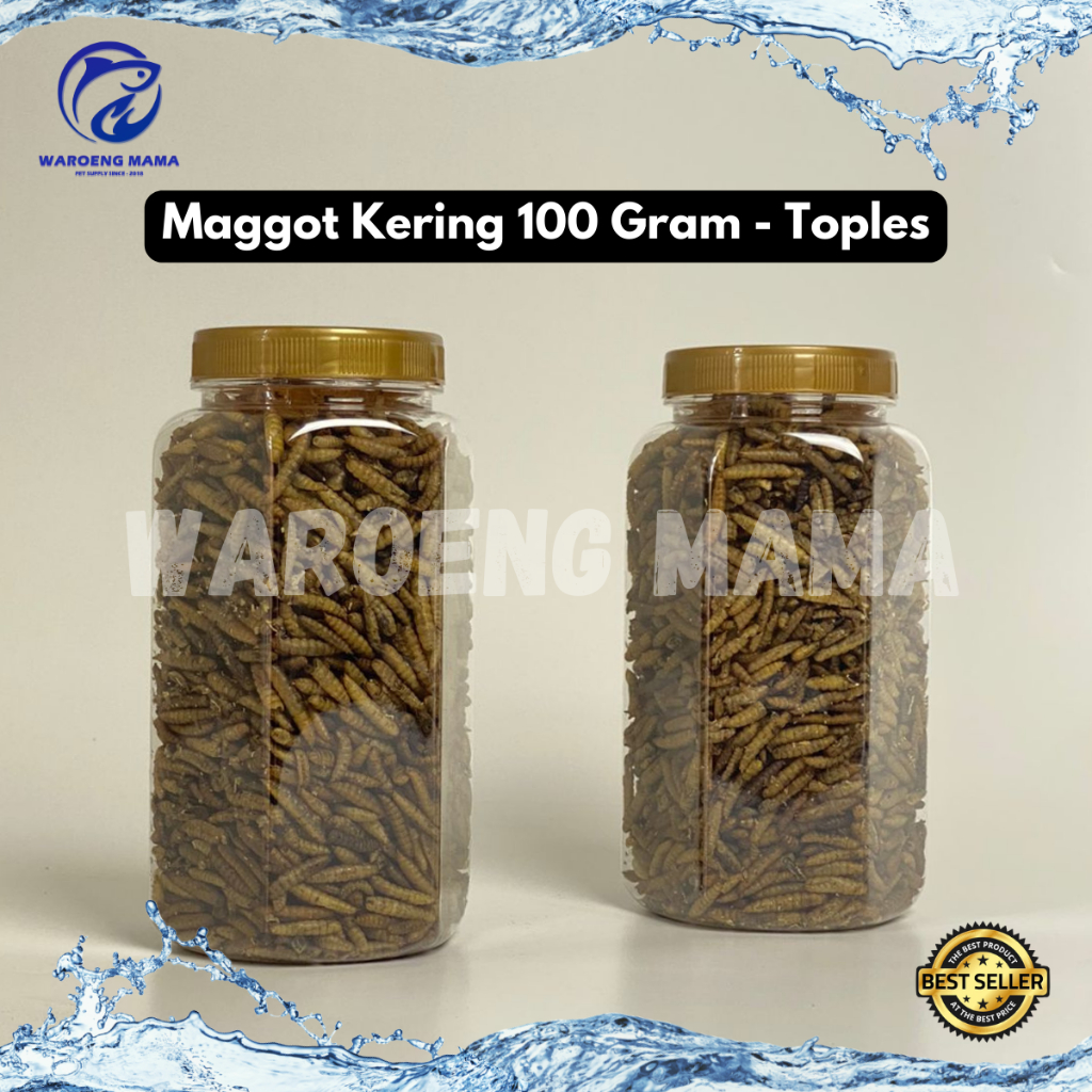 Jual Maggot Kering Bsf Gram Grade A Kemasan Toples Makanan Ikan Channa Arwana Koi Reptil