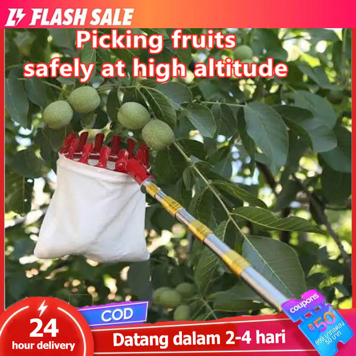 Jual Pemetik Buah nyaman cepat Pemetik Buah Teleskopik ketinggian ...