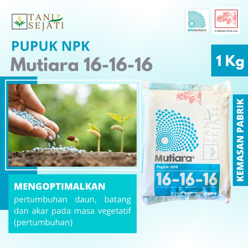 Jual Pupuk Npk Mutiara 161616 1kg Kemasan Pabrik Npk Mutiara 16 16 16 Meroke Ori Asli Shopee 7575