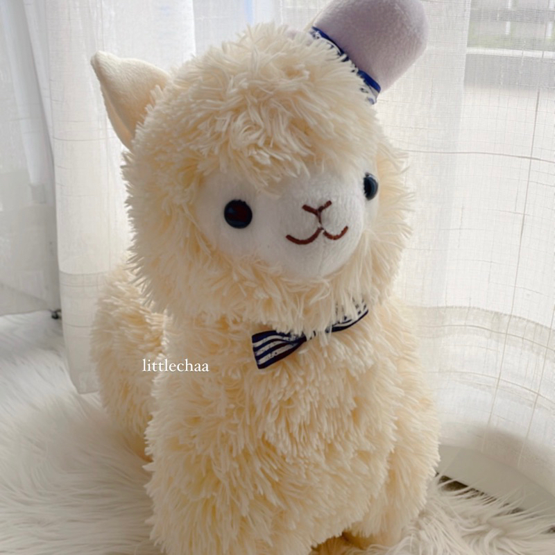 Jual ALPACA PLUSH JUMBO BY PICCASSO (ORIGINAL AMUSE) | Shopee Indonesia