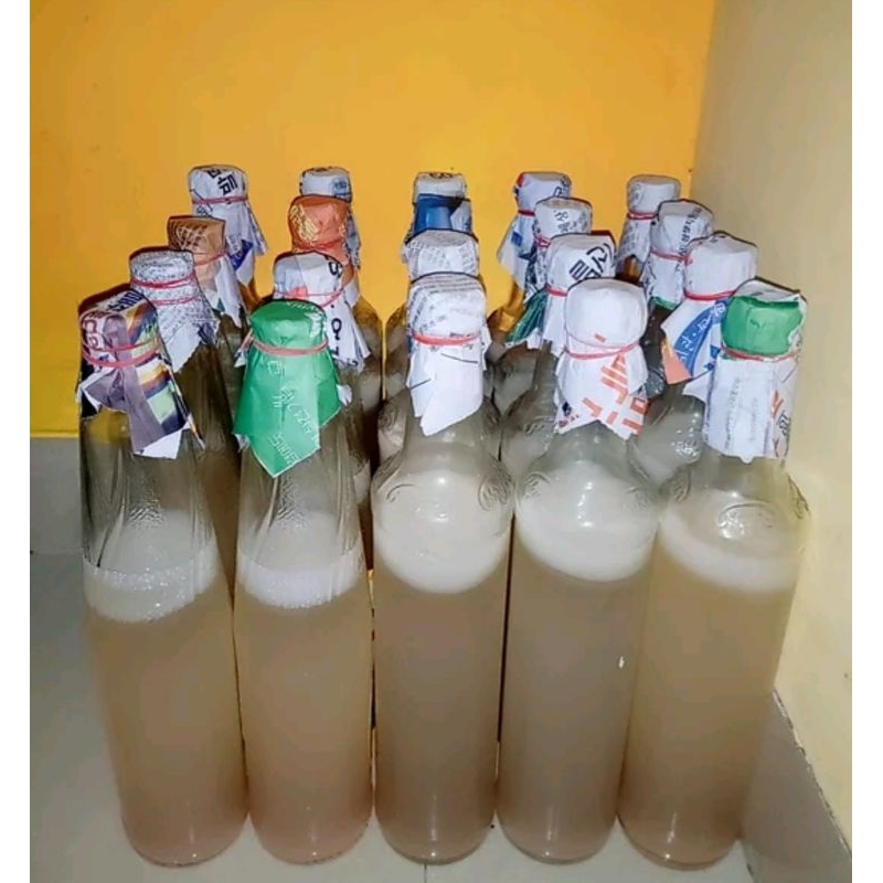 Jual Bibit / Starter Nata De Coco 500 grm Shopee Indonesia