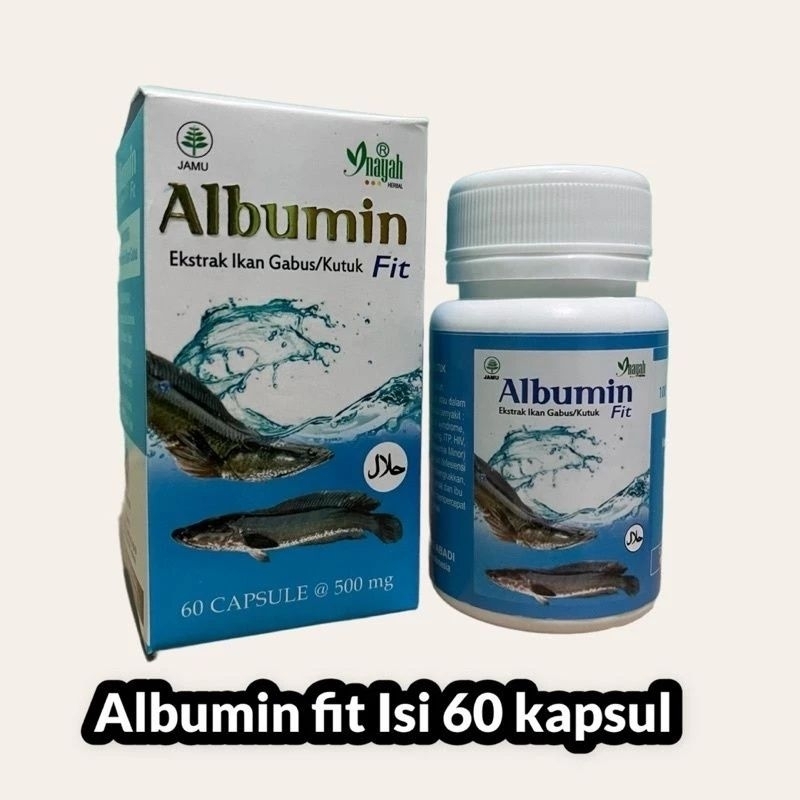 Jual Albumin Fit Ekstrak Ikan Gabus Isi Kapsul Albumin Fit Inayah