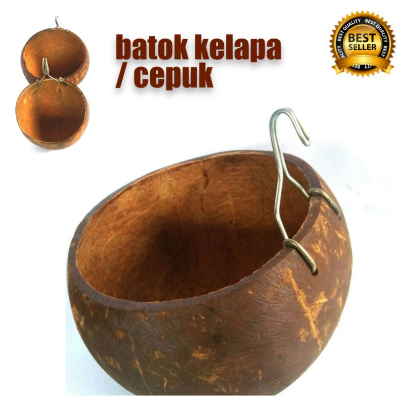 Jual Batok Kelapa Cepuk wadah pakan hewan | Shopee Indonesia