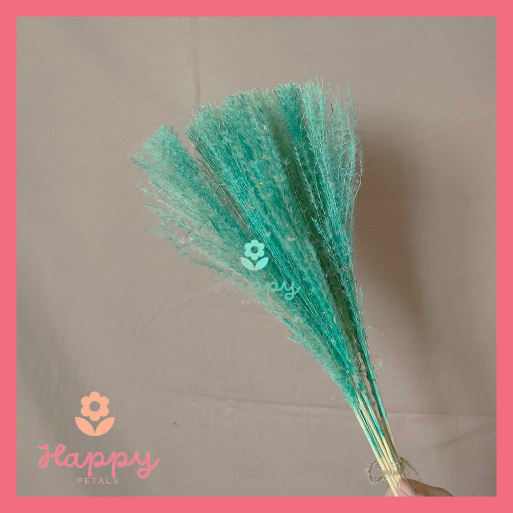 Jual Dried Flower Pampas Reed Color Rainbow Bunga Tanaman Rumput Bulu ...