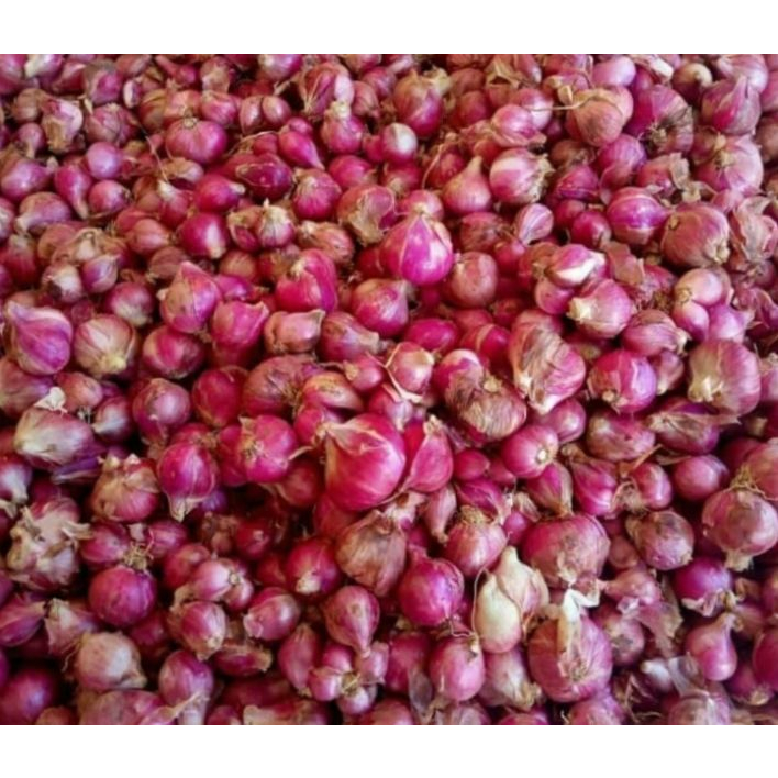 Jual Bawang Merah Lokal Ukuran Sedang Berkualitas 1kg Shopee Indonesia