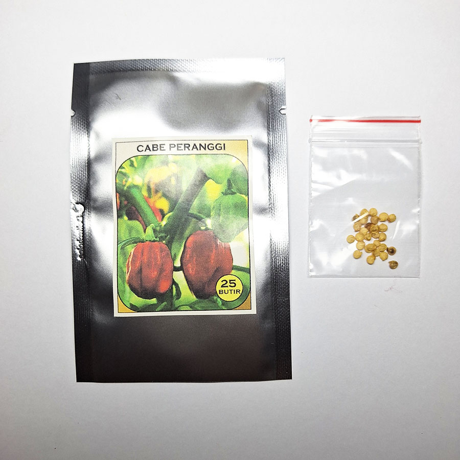 Jual Benih Cabe Peranggi - cabai katokkon isi 25 butir | Shopee Indonesia