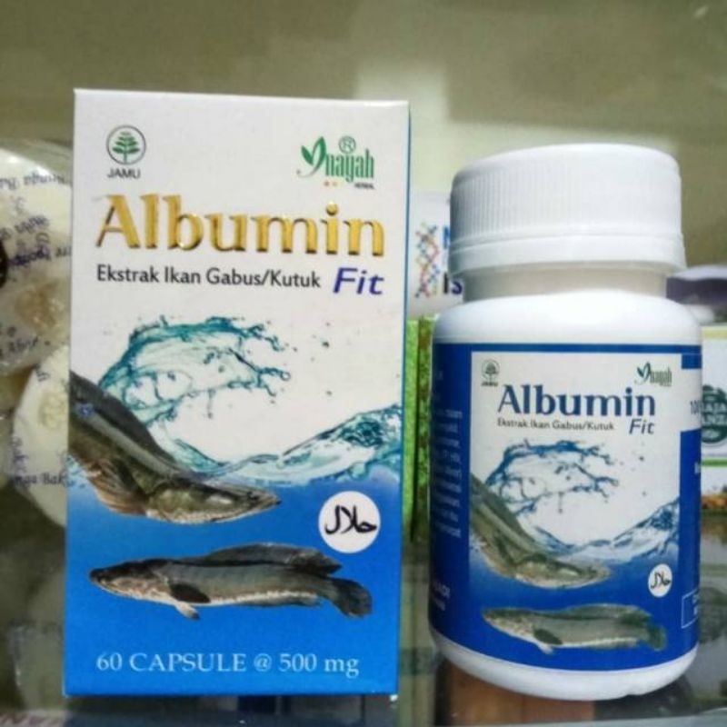 Jual Kapsul Ekstrak Ikan Gabus Albumin Fit Inayah Isi 60 Kpsl Kapsul