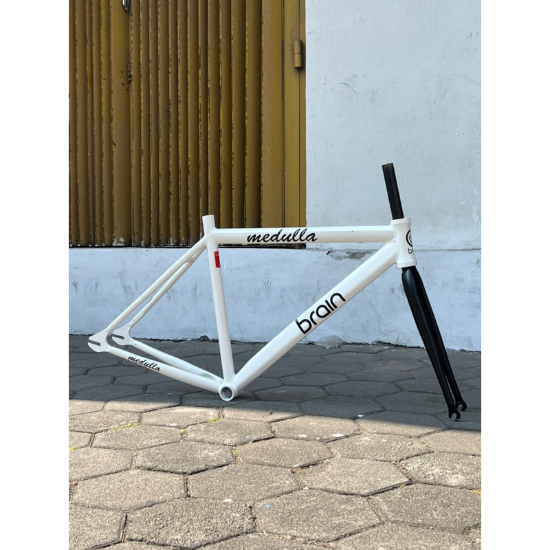 frame brain fixie