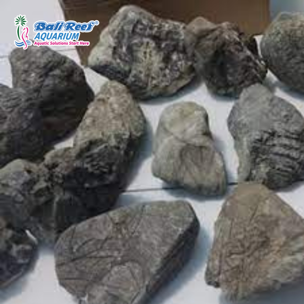 Jual Batu Aquascape Turly Stone Per 100 Gram | Shopee Indonesia