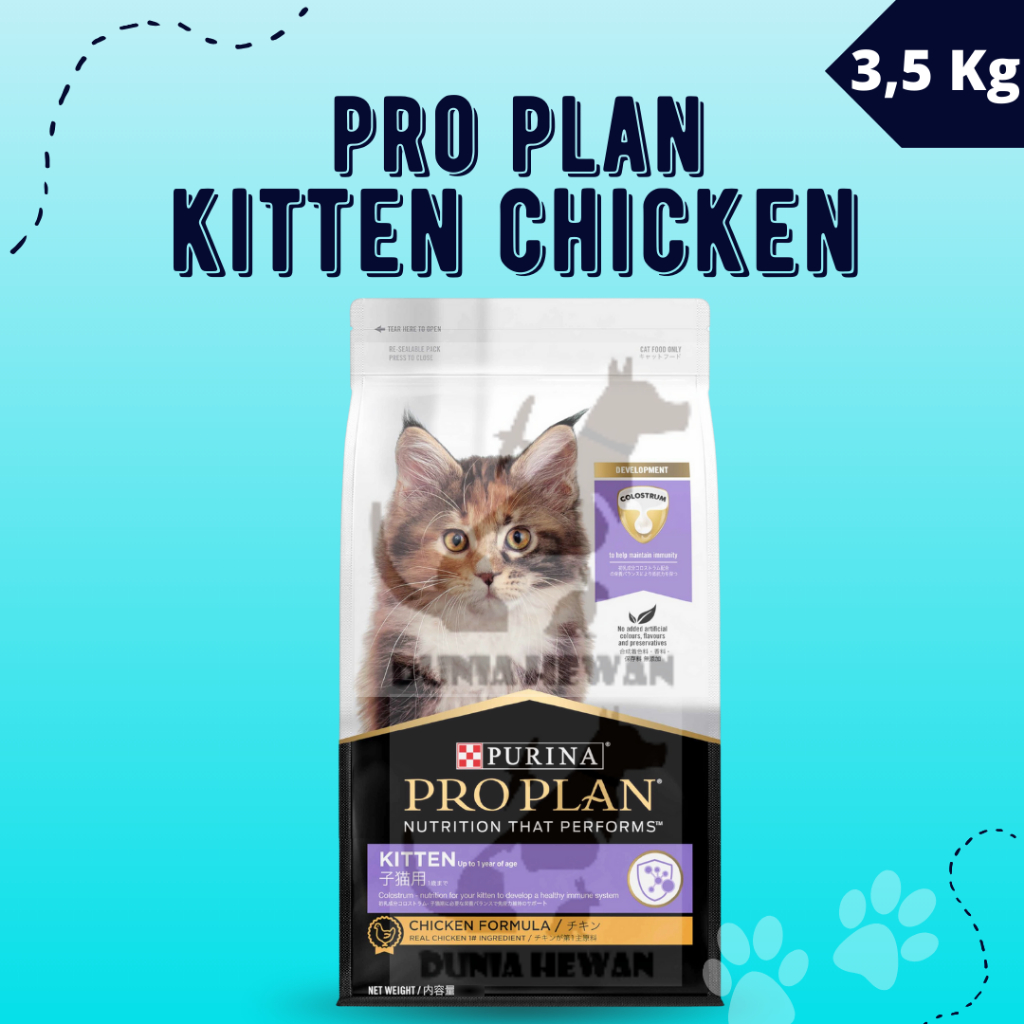 Proplan kitten online