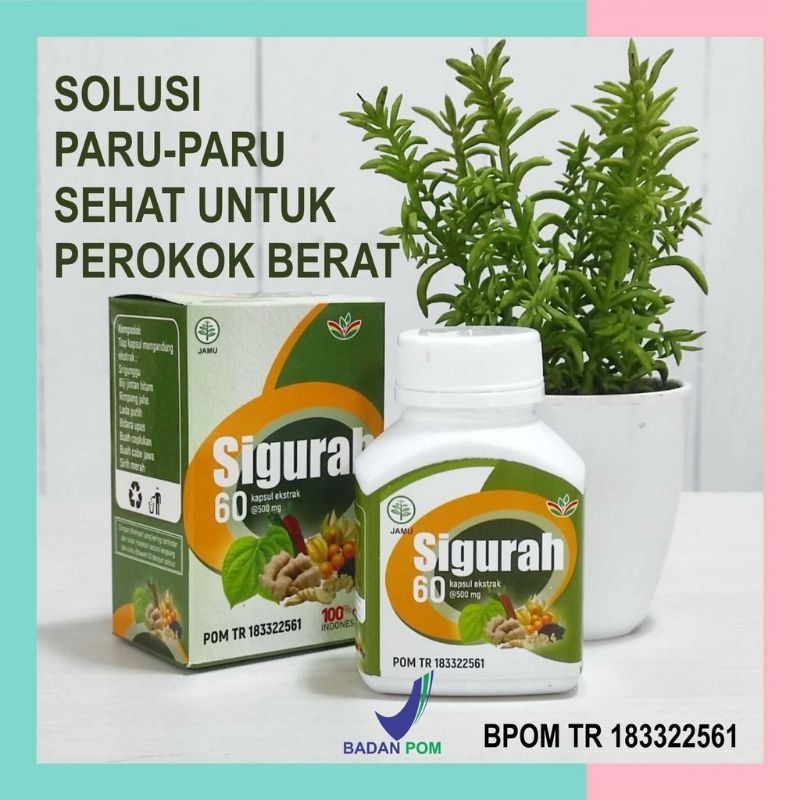 Jual Sigurah Herbal 60 Kapsul Shopee Indonesia 8786
