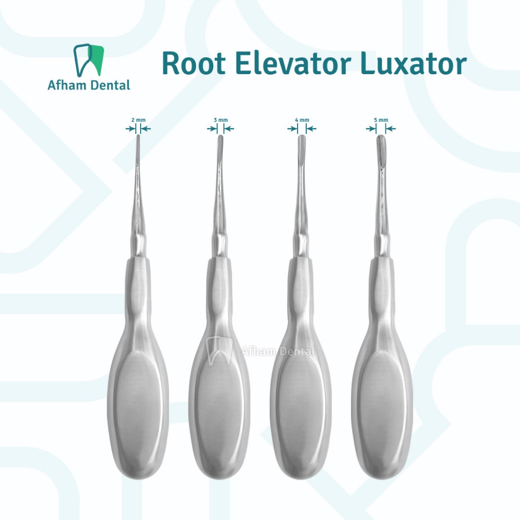 Jual DENTAL BEIN ROOT ELEVATOR LUXATOR ALAT UNGKIT CABUT GIGI / BEIN