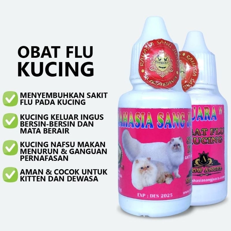 Jual Obat flu kucing 30ml - ampuh mengatasi bersin pilek ingusan aman ...