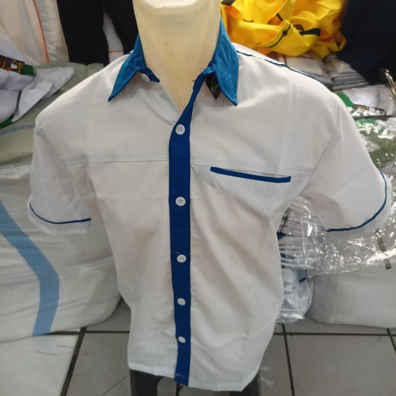 Lis Biru