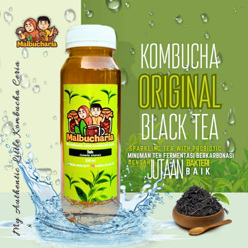 Jual Kombucha Original Black Tea Minuman Probiotik Teh Fermentasi Shopee Indonesia 7173