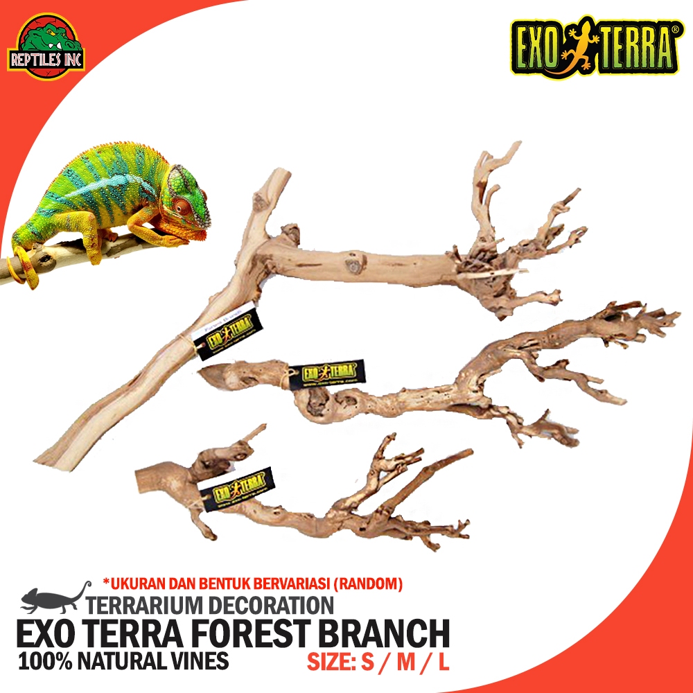 Jual Exoterra Forest Branch LARGE Ranting Pohon Hiasan Dekorasi Kandang ...