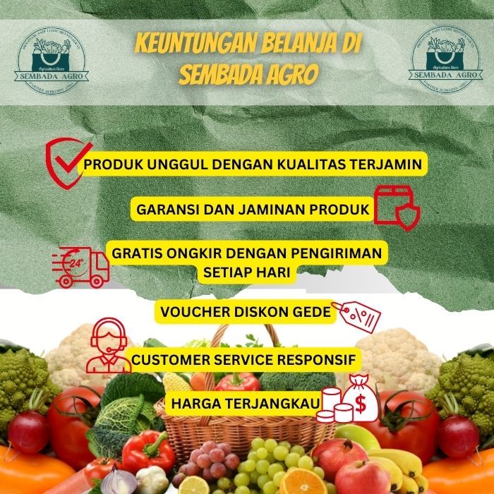 Jual Humat Powder Asam Humat Pembenah Tanah 50 Gram - Sembada Agro ...