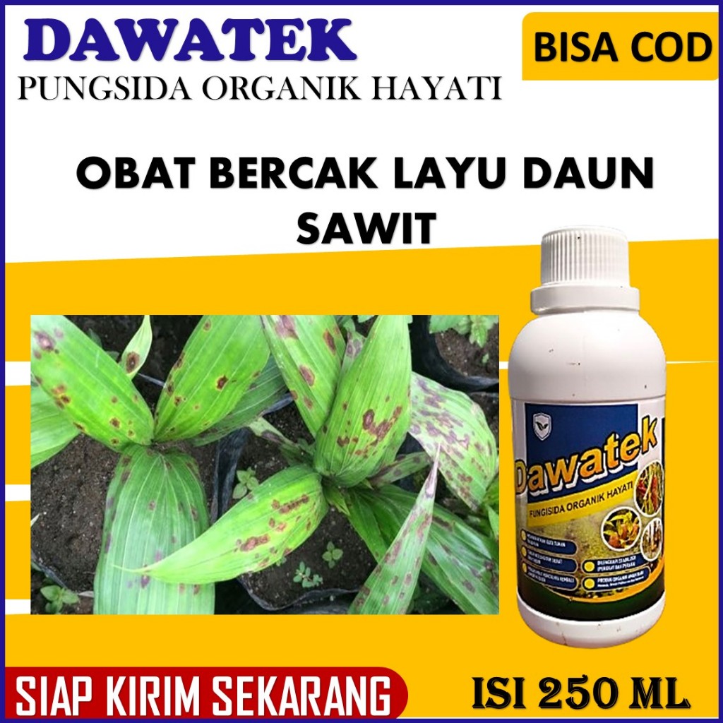 Jual Paling Laris Obat Bercak Daun Bibit Sawit Paling Ampuh Dawatek Ml Fungisida Organik