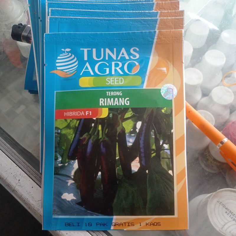 Jual Benih terong ungu rimang Tunas Agro 5 gr | Shopee Indonesia