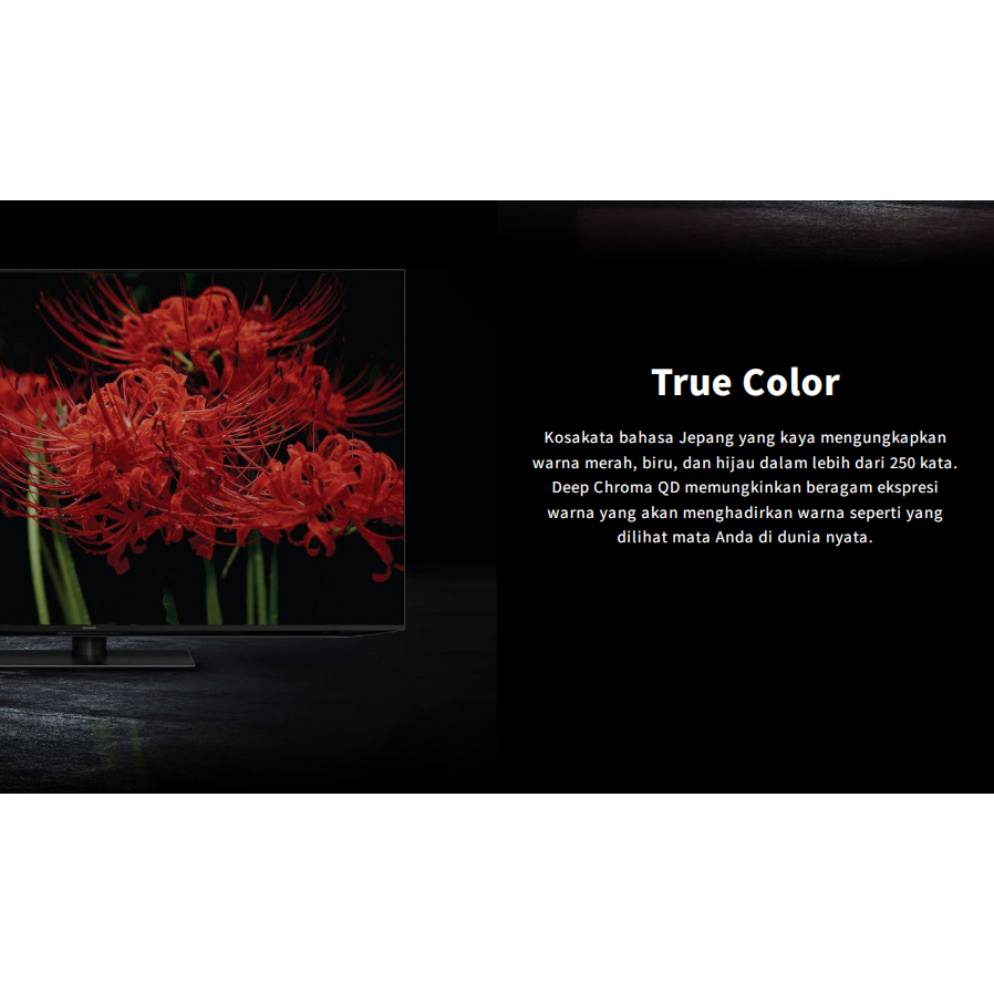 Jual TV SHARP 75 Inch LED 75FV1X (XLED-4K Google TV) | Shopee Indonesia