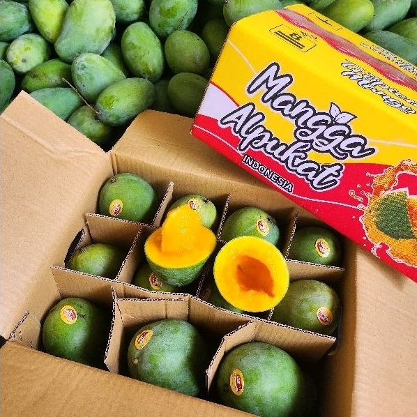 Jual Mangga Klonal Dus Kg Mangga Harum Manis Mangga Alpukat Viral Shopee Indonesia