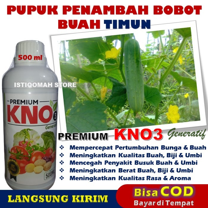 Jual Pupuk Penambah Bobot Buah Tanaman Timun Premium KNO3 Obat Semprot