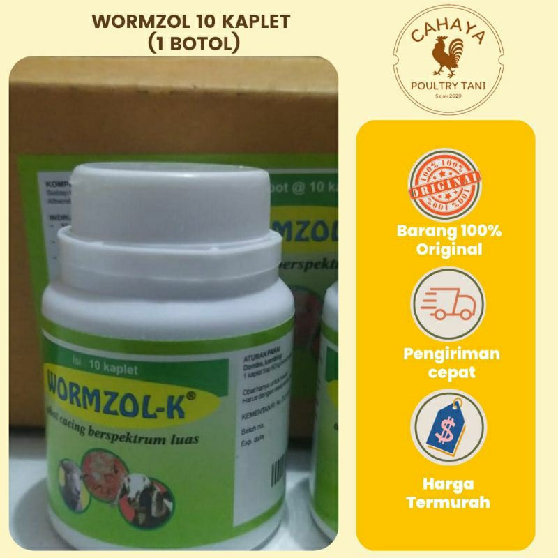 Jual Wormzol-K 1 Pot Isi 10 Pcs, Obat Cacing Kambing Domba | Shopee ...